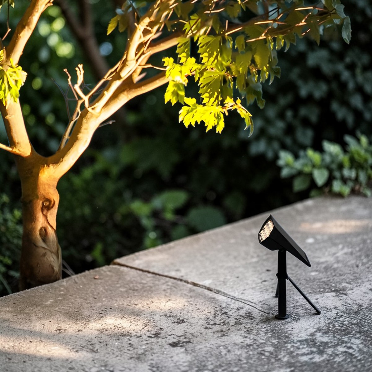 EcoGlow | Solar Spot Lights with Adjustable Design & Waterproof Feature for Landscape Illumination 1