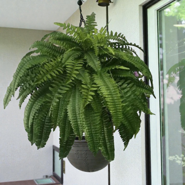 Lifelike Artificial Boston Fern | UV-Resistant Faux Plant for Indoor & Outdoor Decor 1