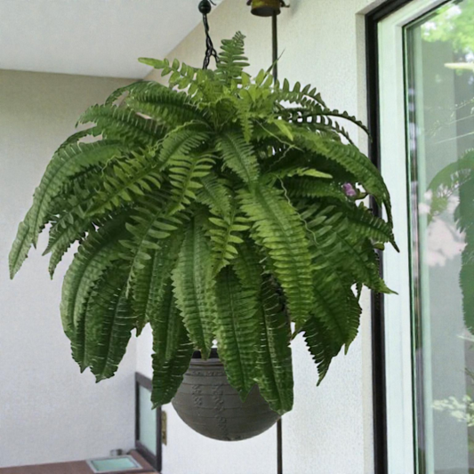 Lifelike Artificial Boston Fern | UV-Resistant Faux Plant for Indoor & Outdoor Decor 1