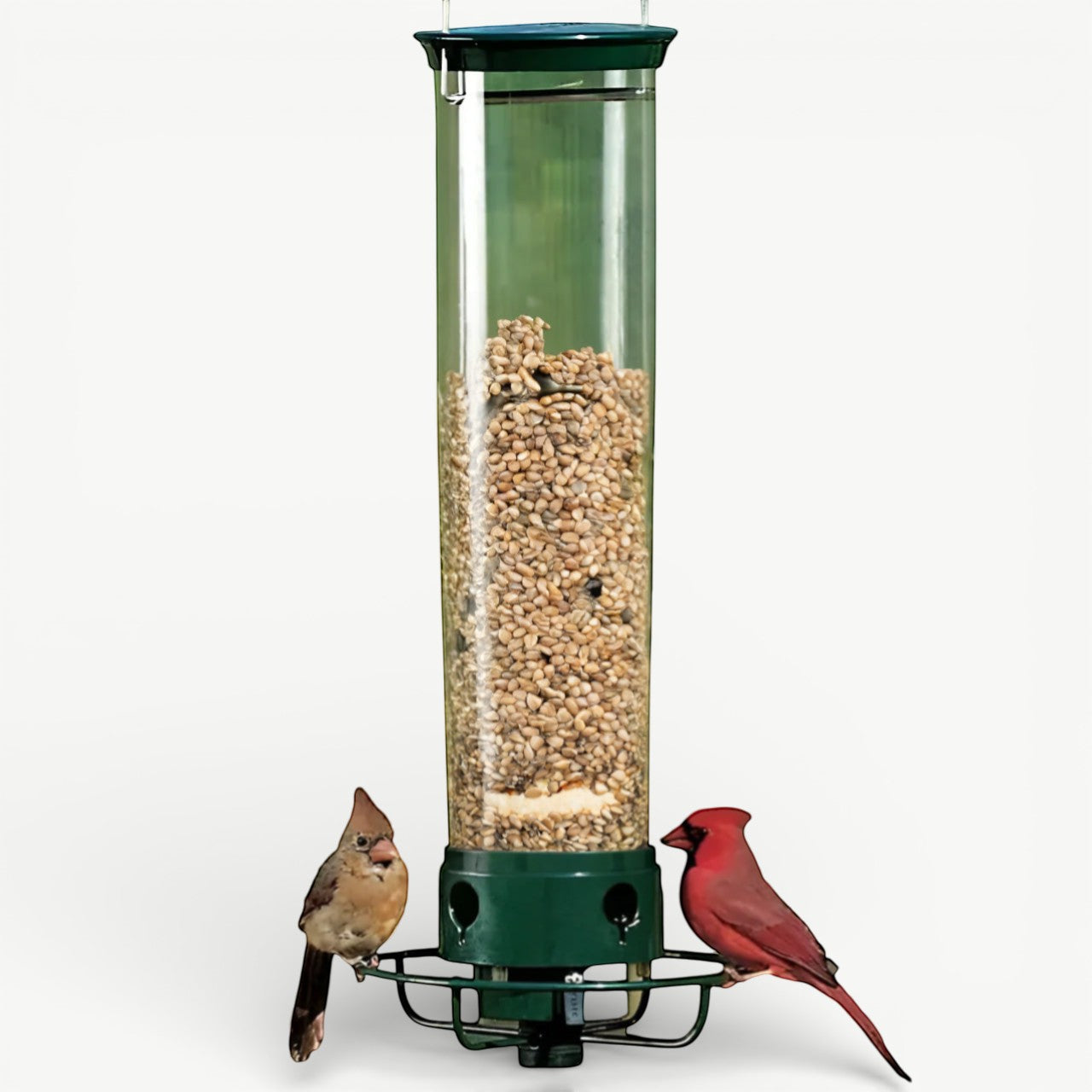 Squirrel Defender | Squirrel Proof Bird Feeder with Weight-Activated Perch | Durable Metal Design for Uninterrupted Bird Feeding 0