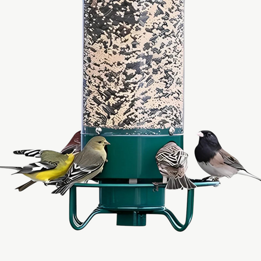 Squirrel Defender | Squirrel Proof Bird Feeder with Weight-Activated Perch | Durable Metal Design for Uninterrupted Bird Feeding 4