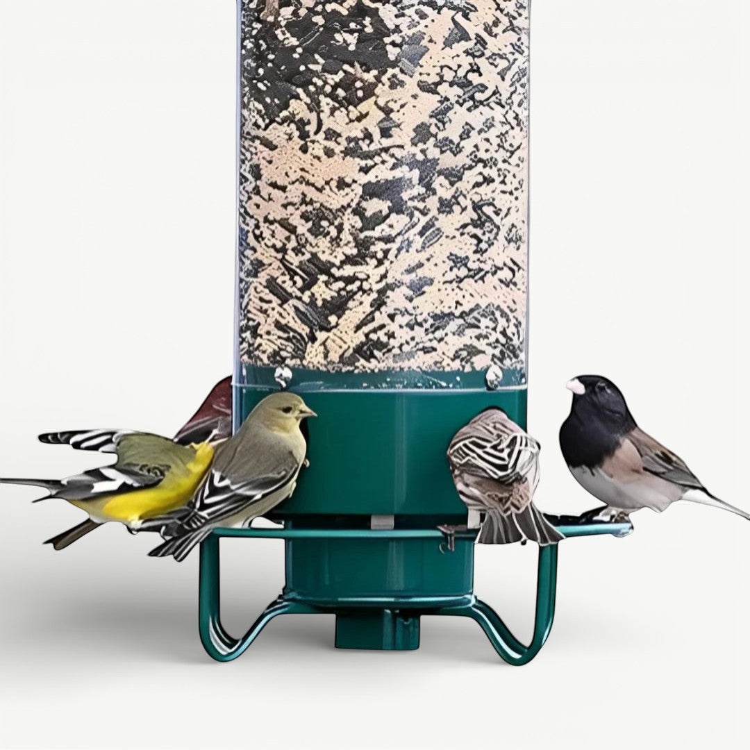 Squirrel Defender | Squirrel Proof Bird Feeder with Weight-Activated Perch | Durable Metal Design for Uninterrupted Bird Feeding 4